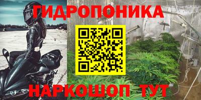 мяу мяу мука Бузулук