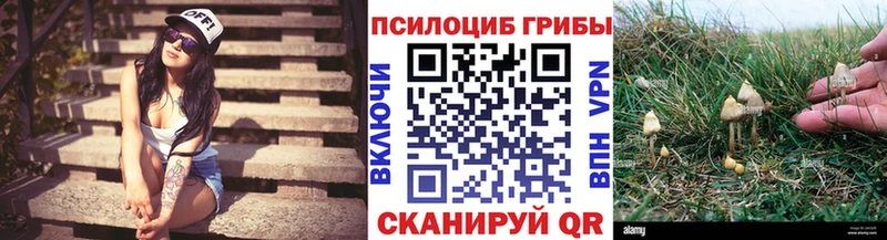 Псилоцибиновые грибы Cubensis kraken ССЫЛКА Губкинский