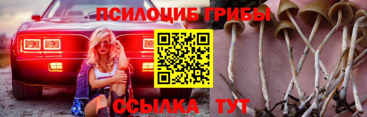 Губкинский  Галлюциногенные грибы прущие грибы  Псилоцибиновые грибы Magic Shrooms  Вход с VPN 