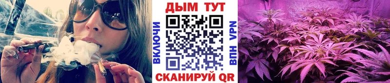 наркотики Губкинский Шишки марихуана индика